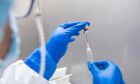 Investigadores italianos descobrem uma vacina contra o cancro
