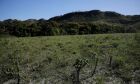 Desmatamento do Cerrado cresce 3% em um ano; área atinge 11 mil km&#xB2;