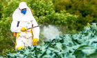 Novo estudo vincula exposição ao herbicida glifosato a problemas de saúde mental e cognitiva