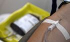 Campanha 'Sangue LGBTQIA+ Salva Vidas' estende horário do Hemosul até 17h
