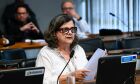 Comissão vota criminalização de apologia a tortura e instauração de ditadura