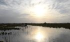 Período de estiagem começa no Pantanal com chuvas abaixo da média