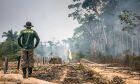 Comissão do Senado analisa projeto que destina área de queimada ilegal ao reflorestamento