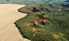 Área desmatada no Brasil cai 11,6%, Cerrado concentra mais da metade
