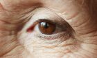 Estudo britânico mostra que mapeamento da retina pode indicar risco de Alzheimer com antecedência