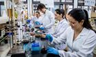 Fundect lança pacote com R$ 22,4 mi de investimentos em bolsas de pesquisa 