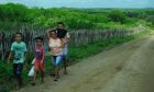 ONU apoia projeto promovendo resiliência climática para 250 mil pessoas no Ceará