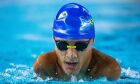 Brasil fecha etapa do World Series de natação com 24 medalhas

