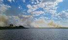Fogo já consumiu mais de 135 mil hectares do Pantanal em junho