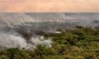 Pantanal poderá ter crise hídrica histórica em 2024, aponta estudo
