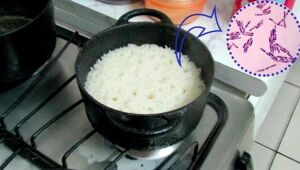 Síndrome do Arroz Frito: guardar arroz para comer mais tarde pode cultivar bactéria mortal