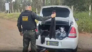 Polícia apreende carga de cabelo avaliada em R$ 1,5 milhão