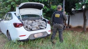Veículo carregado com quase 300 quilos de drogas é apreendido pelo DOF 