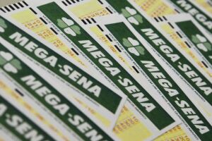 Mega-Sena sorteia nesta terça-feira prêmio acumulado em R$ 120 mi