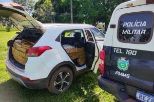 Batalhão de Polícia Militar Rural apreende droga e recupera veículo