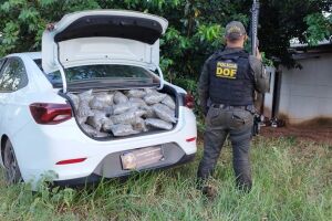 Veículo carregado com quase 300 quilos de drogas é apreendido pelo DOF