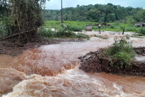 Chuvas no RS fazem agro na região ter prejuízo acima de R$ 423 milhões