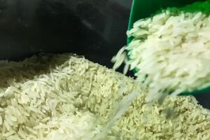 Governo autoriza compra de 1 milhão de toneladas de arroz