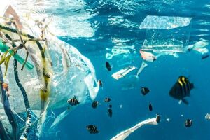 Cabo Verde sofre de todas as formas possíveis com a poluição plástica, diz negociador
