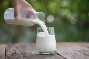 10 motivos para incluir o leite na alimentação diária