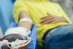 Doação de sangue, namorados e idosos se destacam na semana