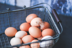 Brasil vai exportar ovos férteis, pintos de um dia e aves vivas para Lesoto