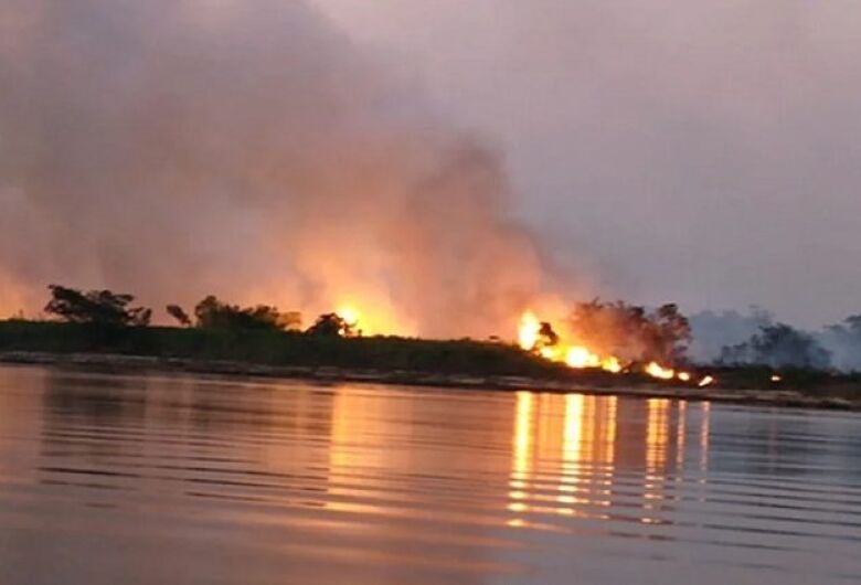 Número de focos de incêndios no Pantanal é 63% menor este ano