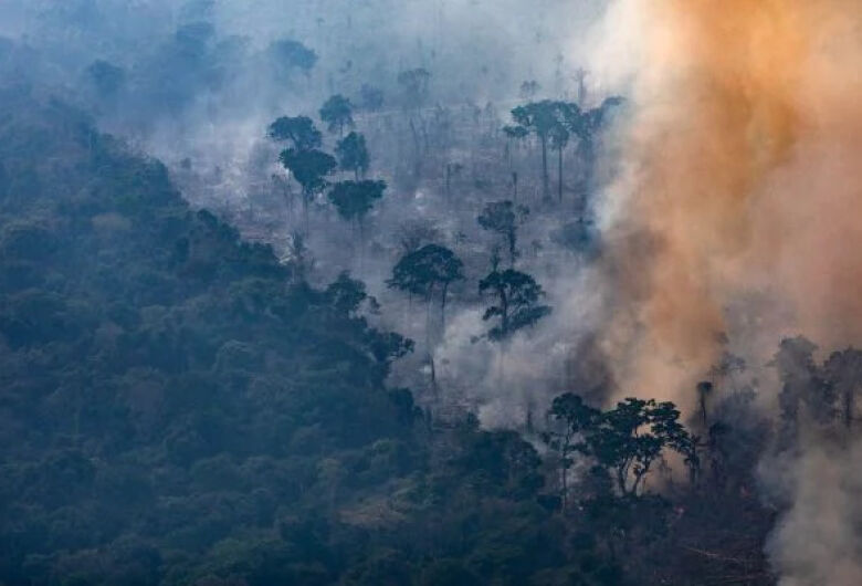 Brasil lidera lista de destruição das florestas primárias tropicais
