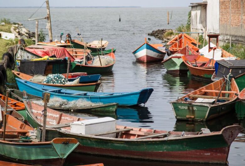 Bancada gaúcha lança manifesto contra a pesca de arrasto no sul do País