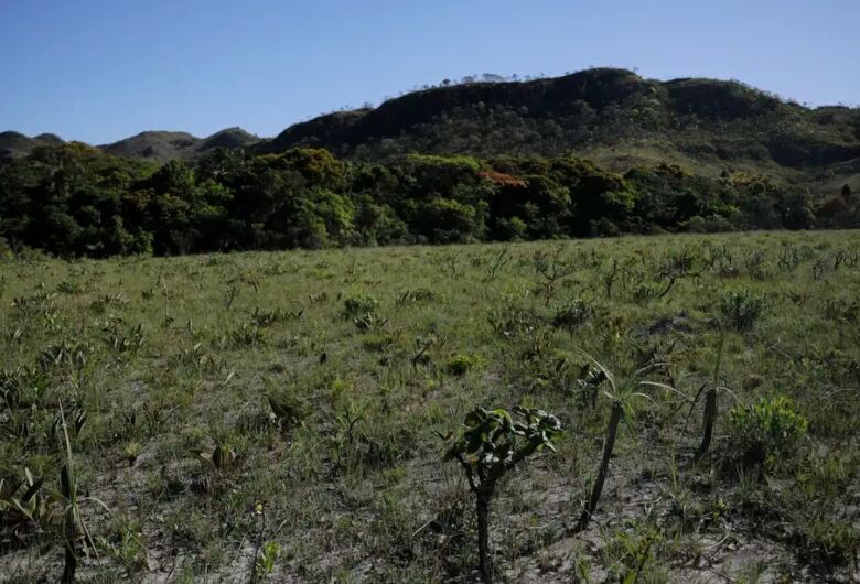 Desmatamento do Cerrado cresce 3% em um ano; área atinge 11 mil km&#xB2;