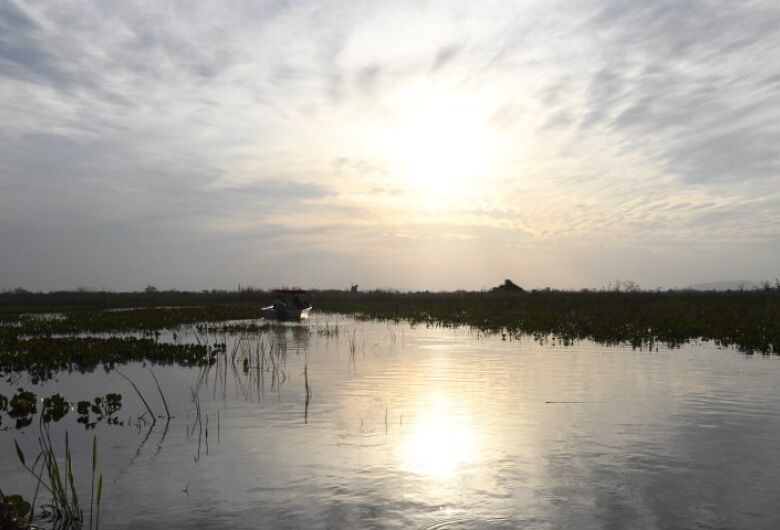 Lei do Pantanal tem reconhecimento de entidades e ONGs