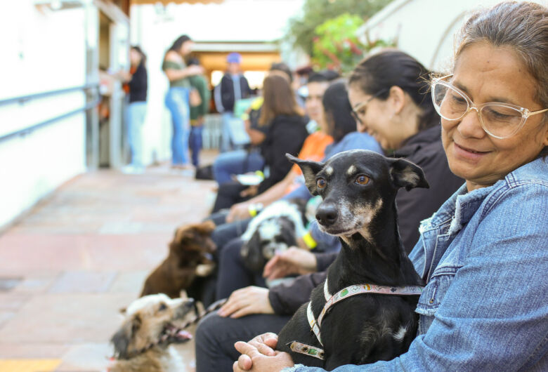 Nódulos em pets não devem ser ignorados, destaca veterinário da Subea
