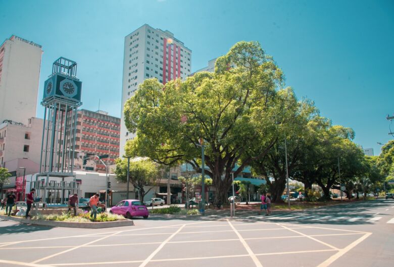 Pelo 5&ordm; ano consecutivo, Campo Grande celebra o reconhecimento como uma Tree City of the World