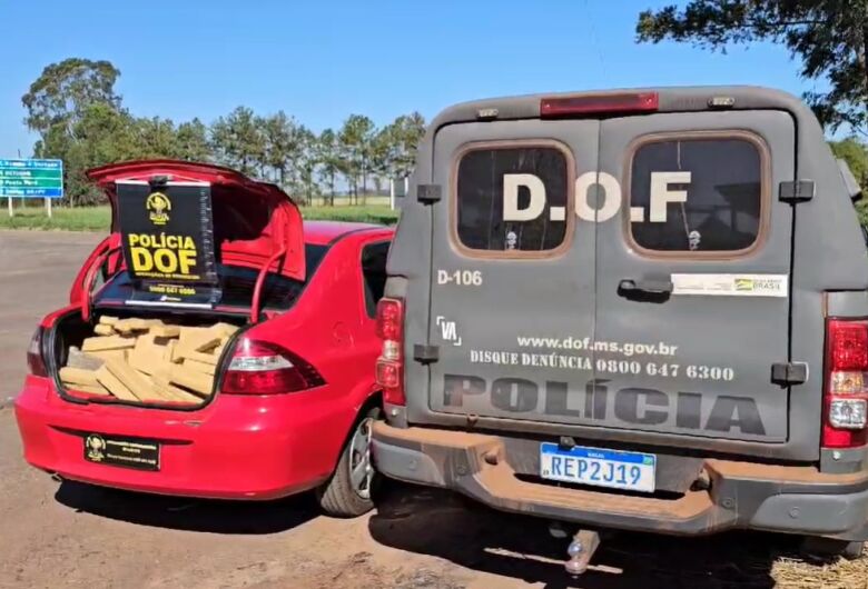 Homem que seguia para Goiás com mais de meia tonelada de maconha é preso pelo DOF