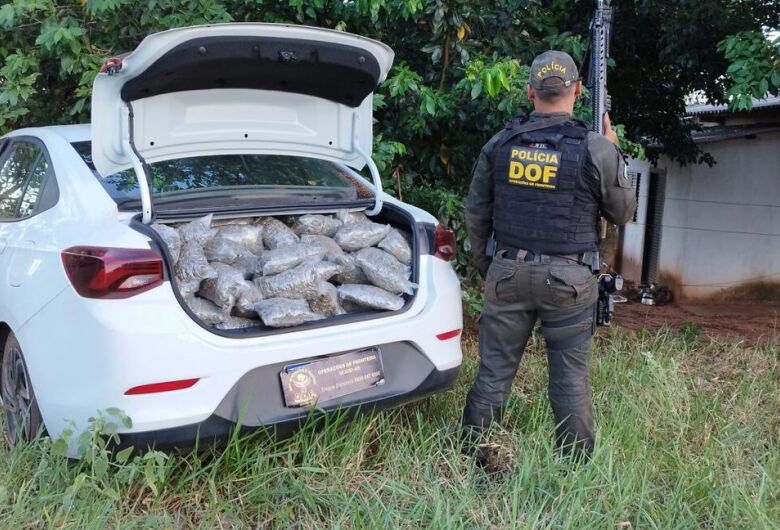 Veículo carregado com quase 300 quilos de drogas é apreendido pelo DOF 