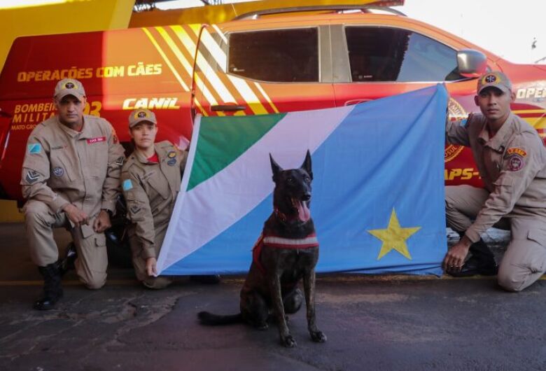 Bombeiros reforçam salvamento no RS com nova equipe de militares e cadela de busca
