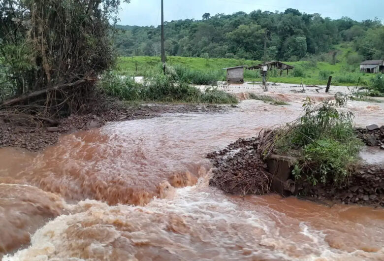Chuvas no RS fazem agro na região ter prejuízo acima de R$ 423 milhões
