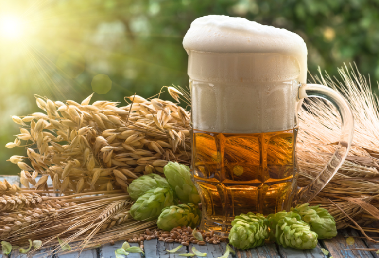 Com 1.847 cervejarias registradas no Brasil, setor cresce 6,8% em 2023
