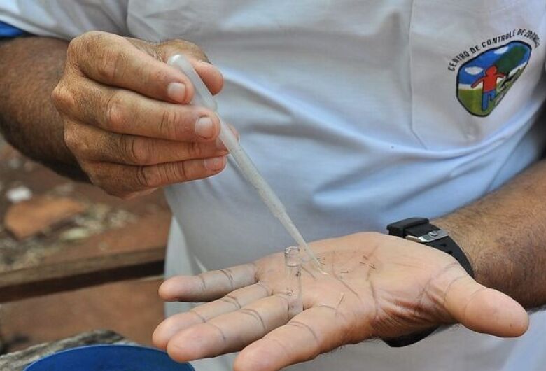 Mortes por dengue chegam a 18 em Mato Grosso do Sul