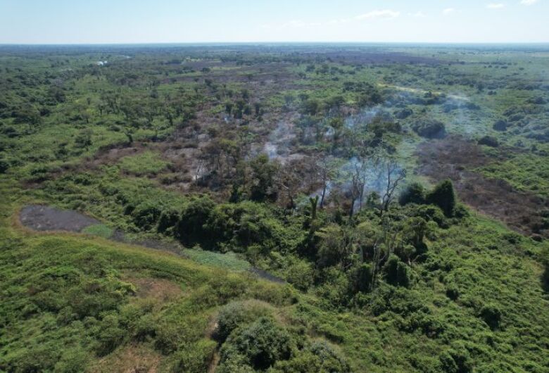 Incêndios florestais no Pantanal e em Naviraí mobilizam bombeiros de MS