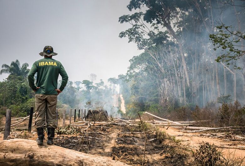 Comissão do Senado analisa projeto que destina área de queimada ilegal ao reflorestamento