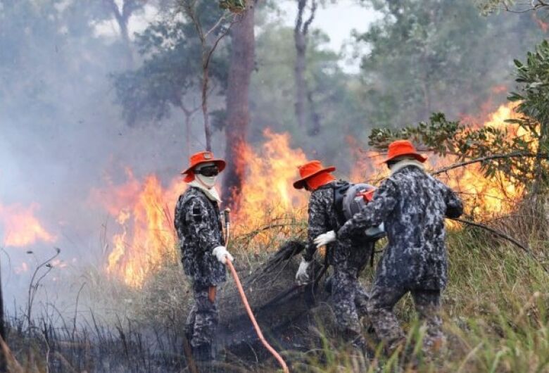 Sob coordenação dos bombeiros de MS, Força Nacional já atua no combate ao fogo 