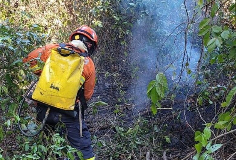 Bombeiros de MS atuam para controlar chamas em diferentes áreas do Pantanal 