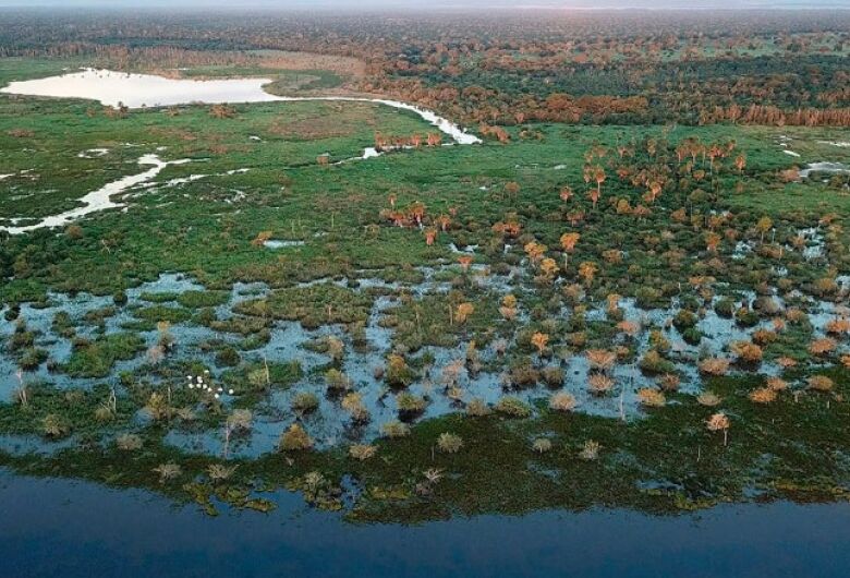 Cerrado e Pantanal são os biomas mais impactados pela redução da superfície de água no Brasil