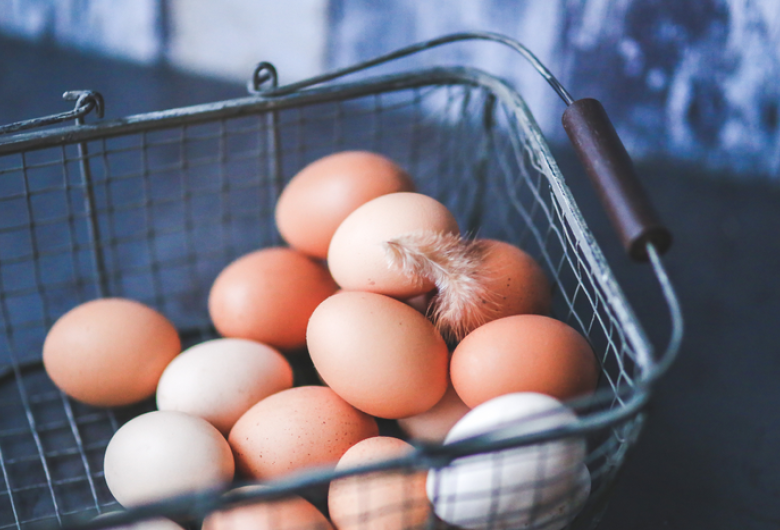 Brasil vai exportar ovos férteis, pintos de um dia e aves vivas para Lesoto 