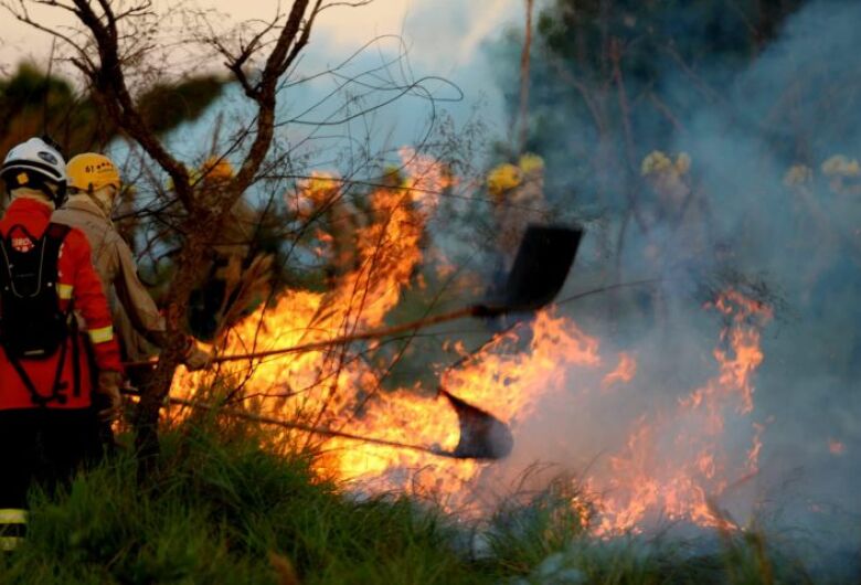 Treinamento de combate ao fogo qualifica novos soldados dos Bombeiros para atuar em incêndios flores