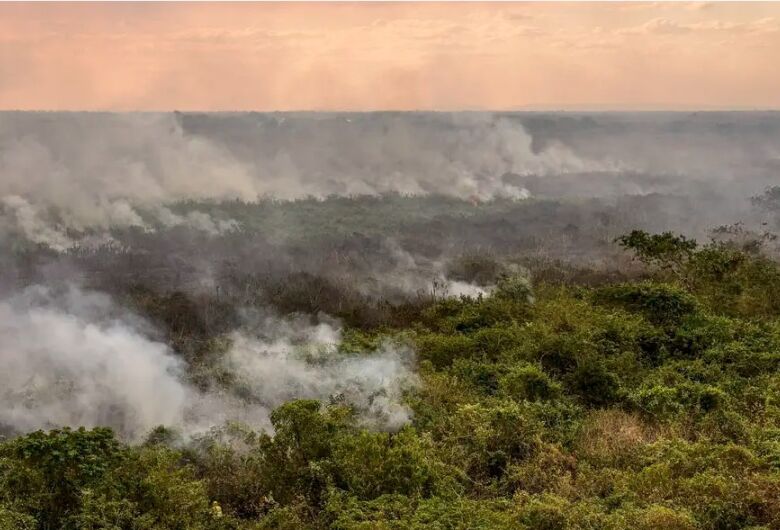 Pantanal poderá ter crise hídrica histórica em 2024, aponta estudo
