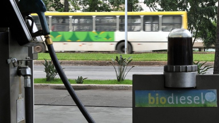 Empresas podem solicitar manutenção do Selo Biocombustível Social pela internet - Crédito: Agência Brasil