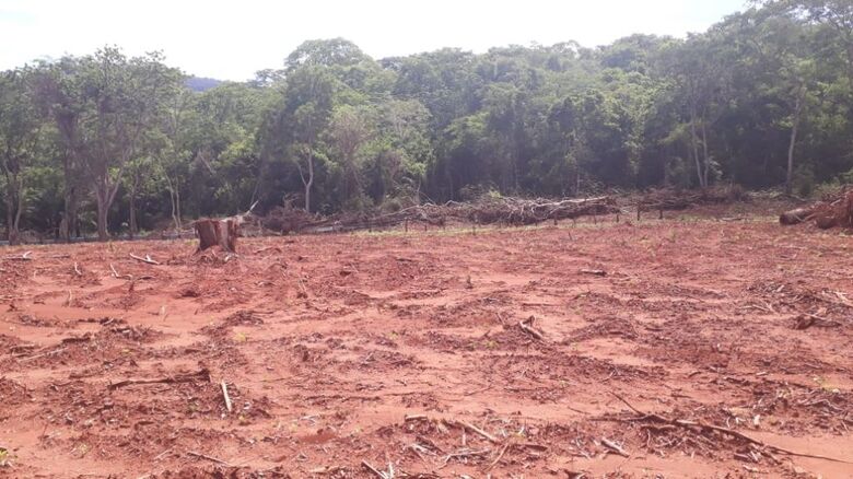 PMA de Corumbá autua infrator por desmatamento ilegal em propriedade à margem da Estrada Parque no Pantanal - 