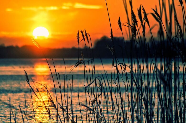 Sol predomina nesta quinta-feira e máxima chega aos 36°C - Crédito: Pixabay